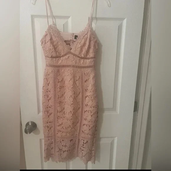 NWT BARDOT BOTANICA LACE DRESS IN SOFT LIGHT PINK - Picture 2 of 9
